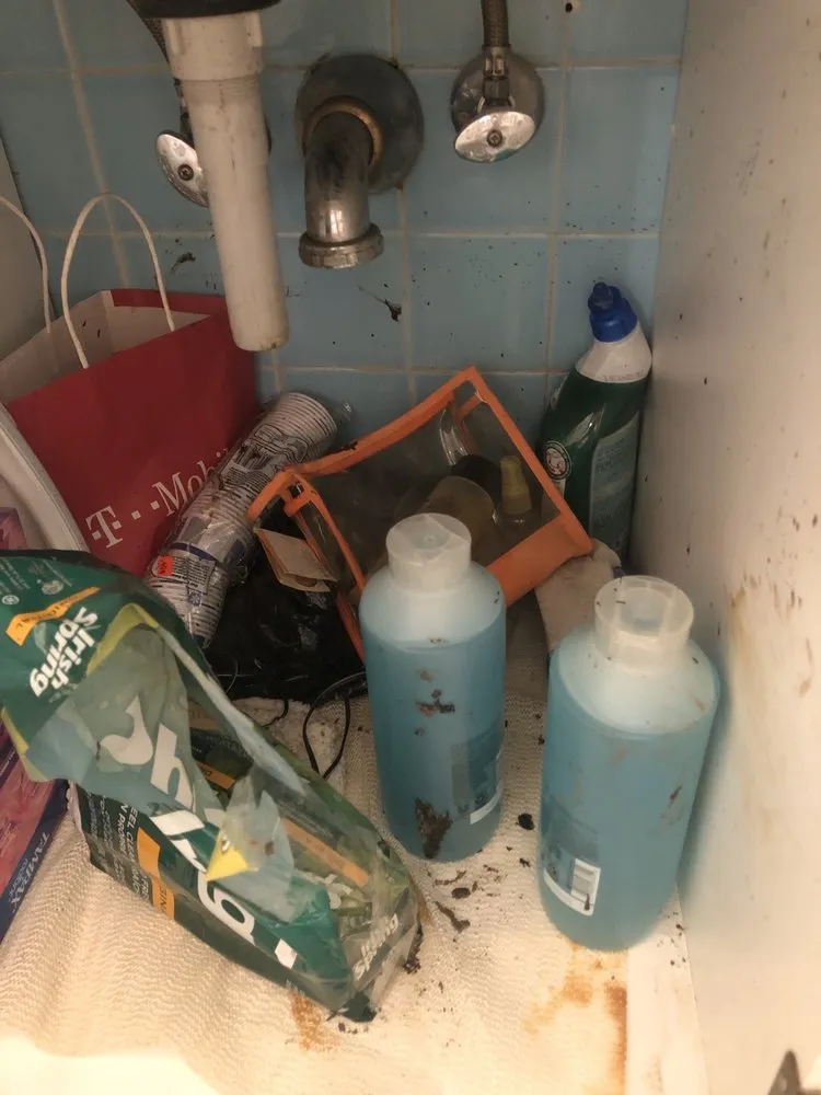 Trusted plumbing repair experts serving Jamaica, NY - A 49.95 Any Sewer or Drain