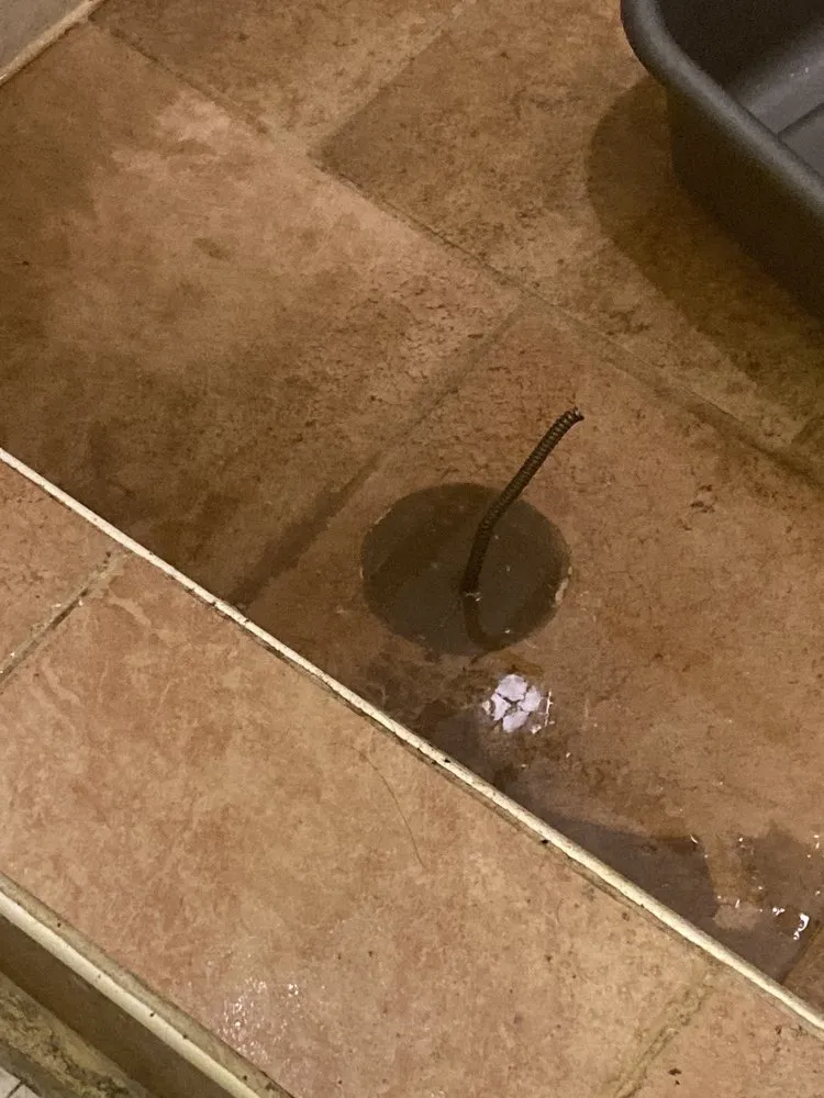 Slide of A 49.95 Any Sewer or Drain