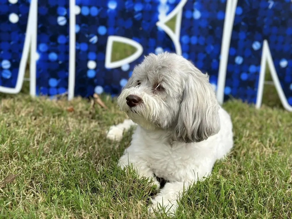 Slide of A 5 Star Plumbing