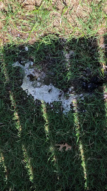 Slide of A A Sprinkler & Drainage Solutions