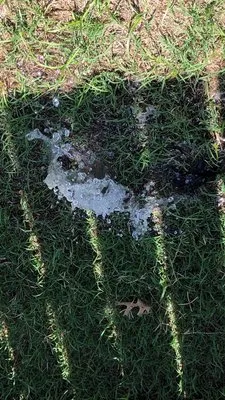 A A Sprinkler & Drainage Solutions