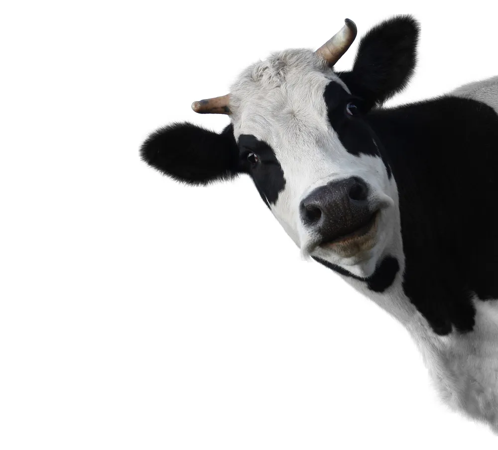 Slide of A-Advantage Plumbing