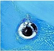 Slide of A-Advantage Plumbing