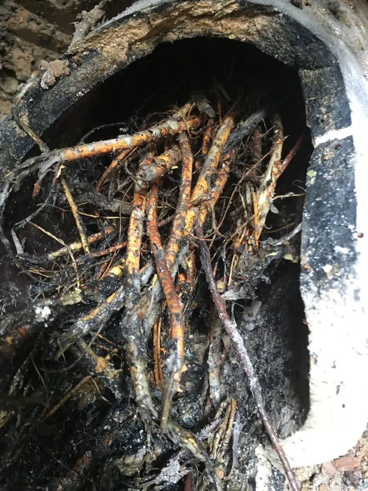 Slide of A-Atlantic Plumbing & Drain Service