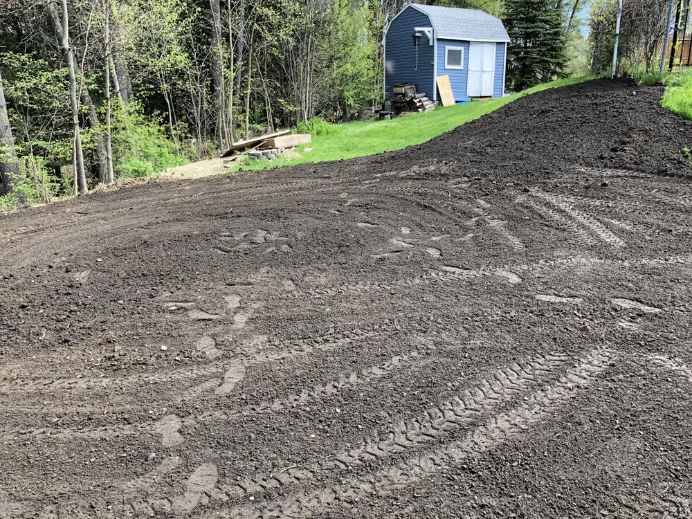 Slide of A Bee Septic