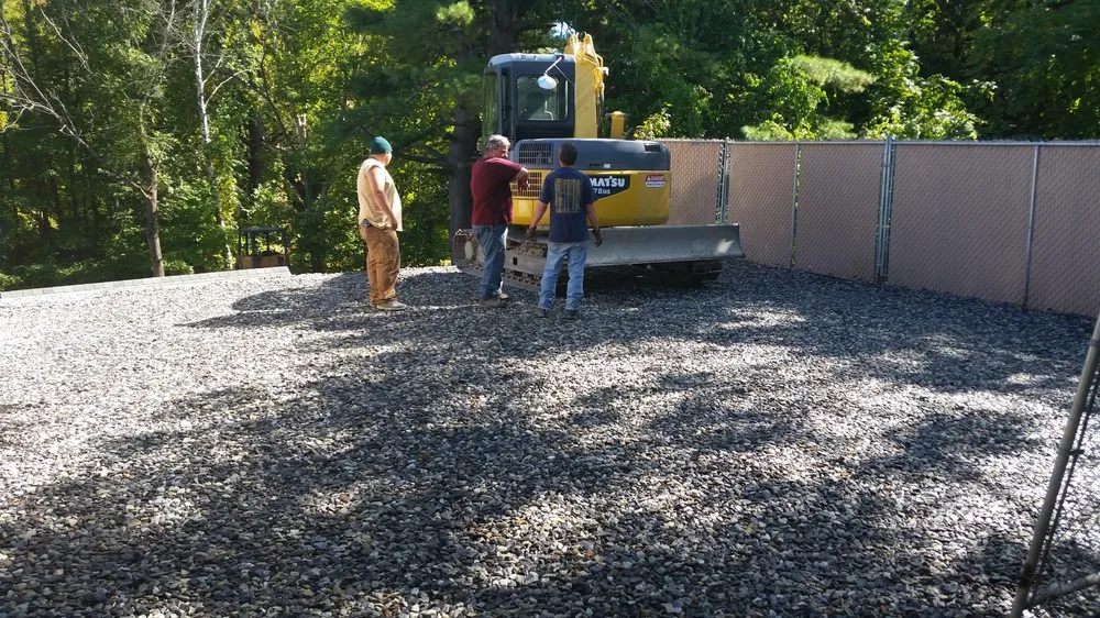 Slide of A Bee Septic