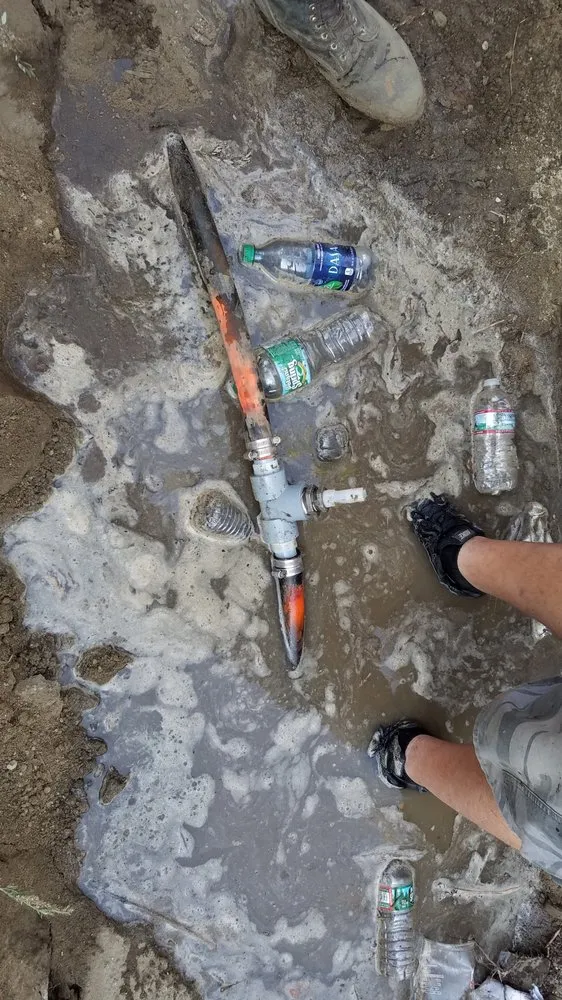 Slide of A Bee Septic