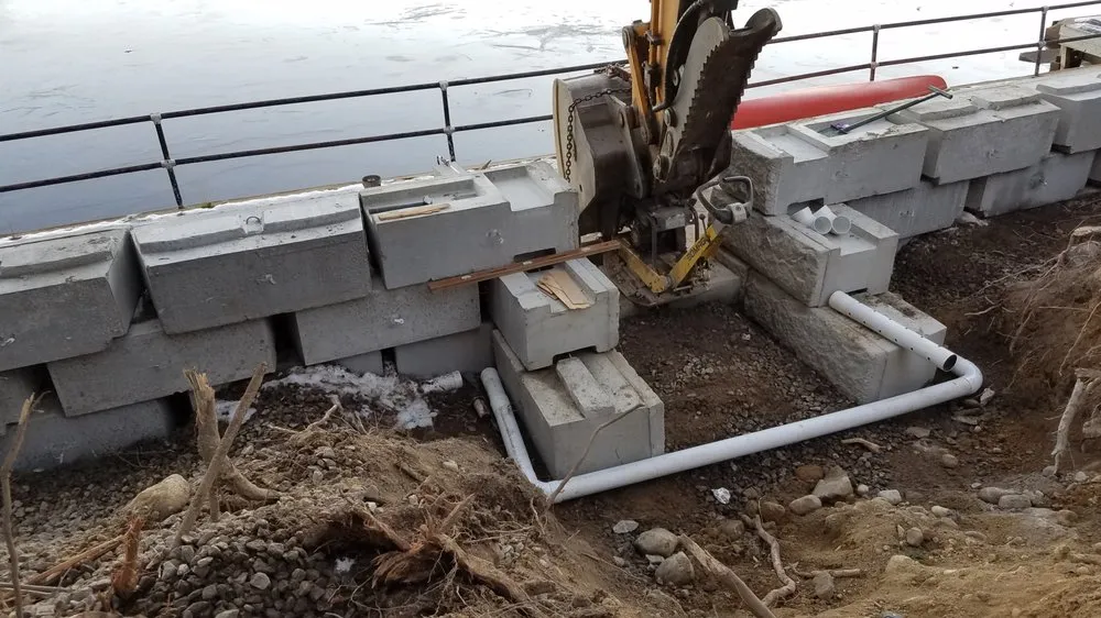 Slide of A Bee Septic