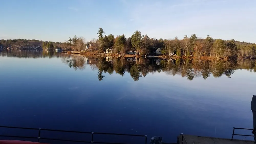 Slide of A Bee Septic