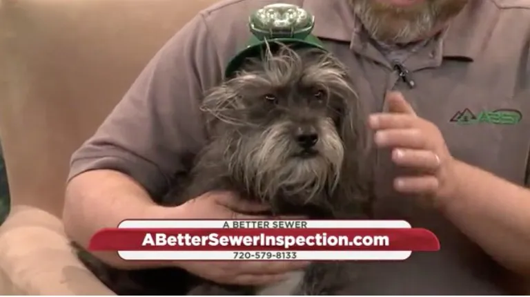 Slide of A Better Plumber