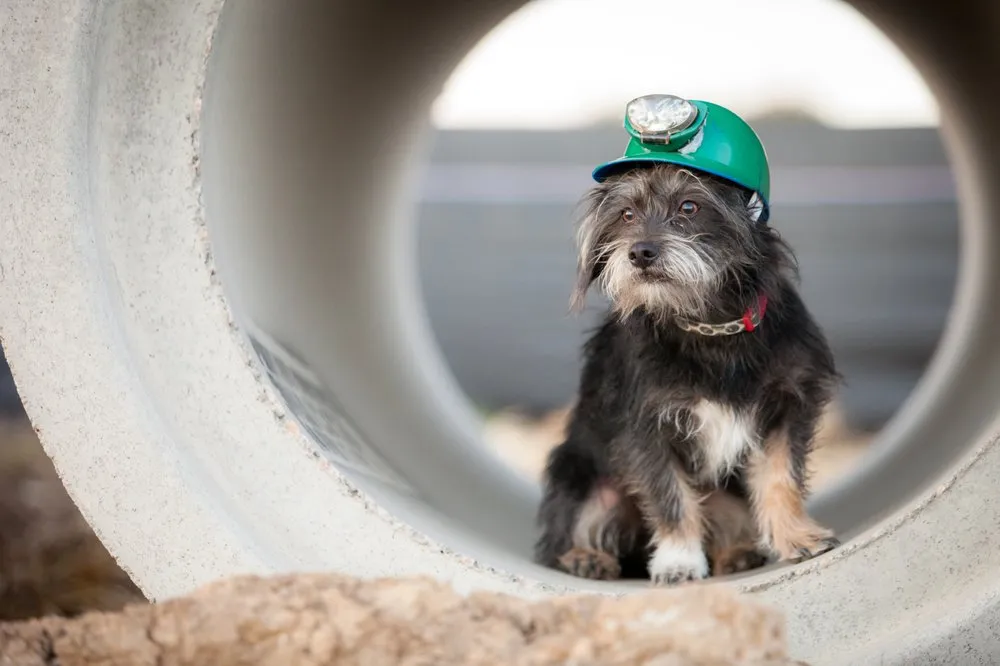 Slide of A Better Plumber