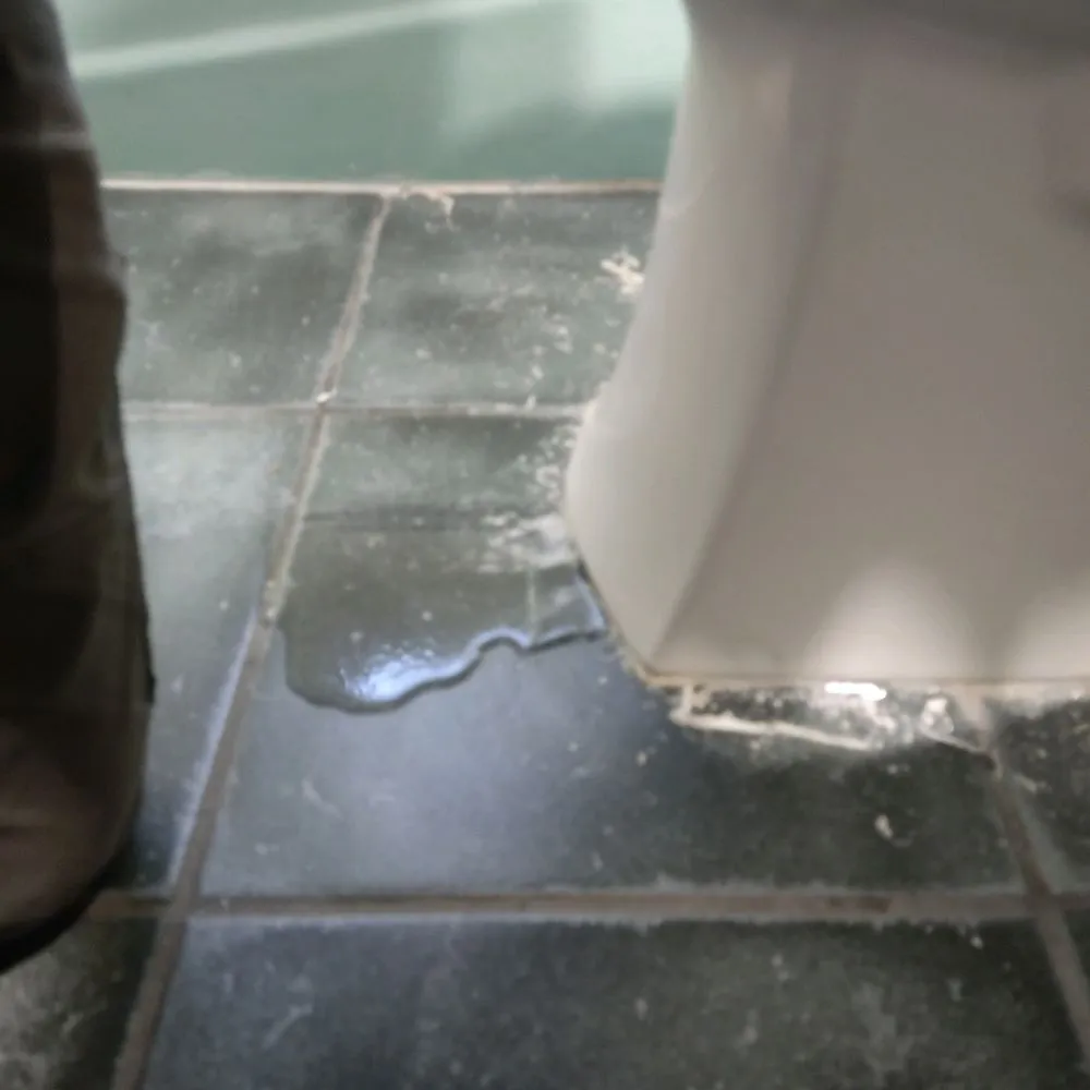 Slide of A Better Plumbing