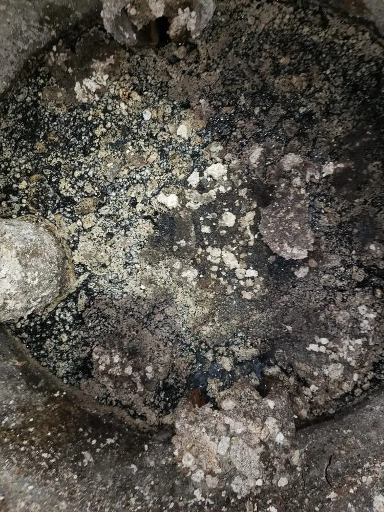 Slide of A Clean Catch