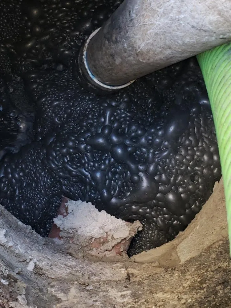 Slide of A Clean Catch