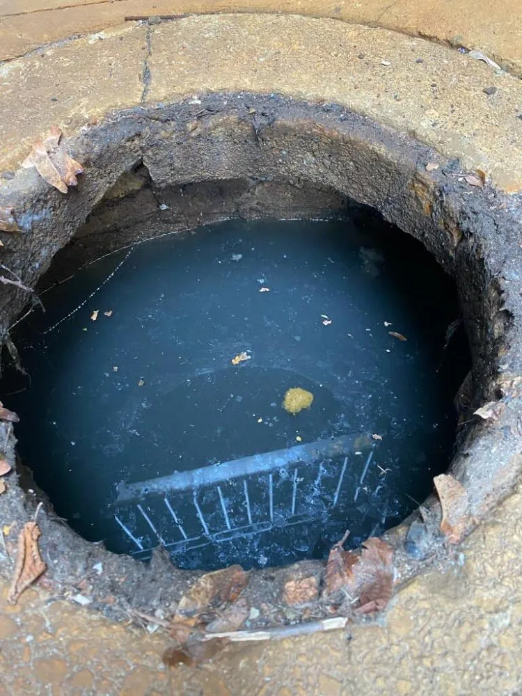 Slide of A Clean Catch