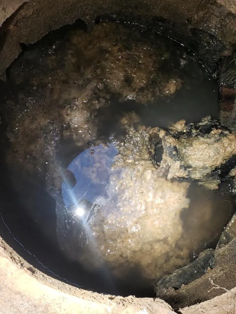 Slide of A Clean Catch