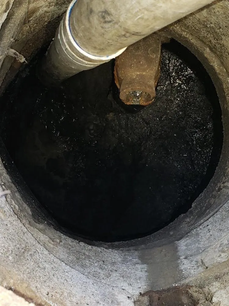 Slide of A Clean Catch