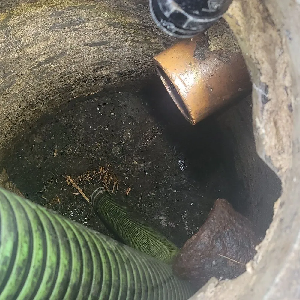 Slide of A Clean Catch