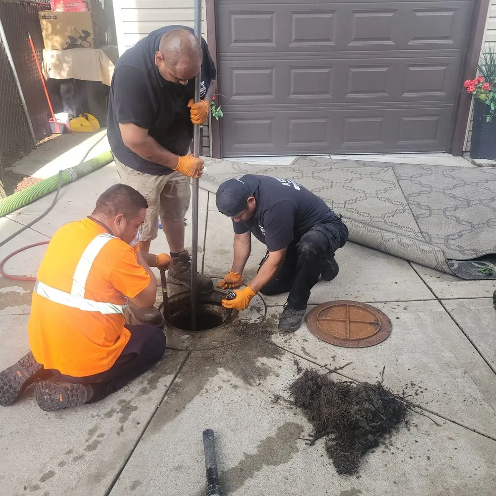 Slide of A Clean Catch