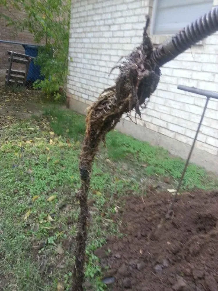 Slide of A+ Drains & Video Line Inspections