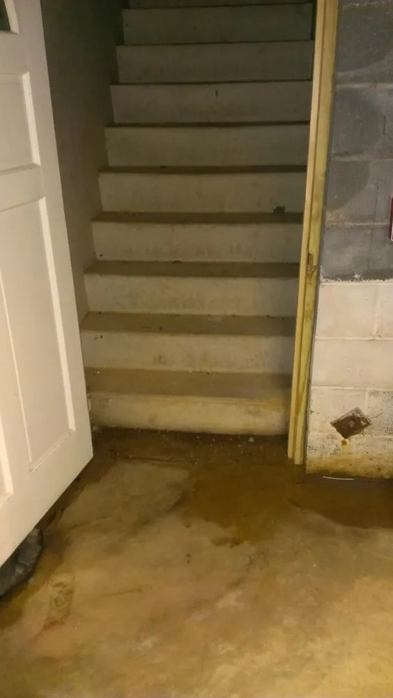 Slide of A Graf & Son