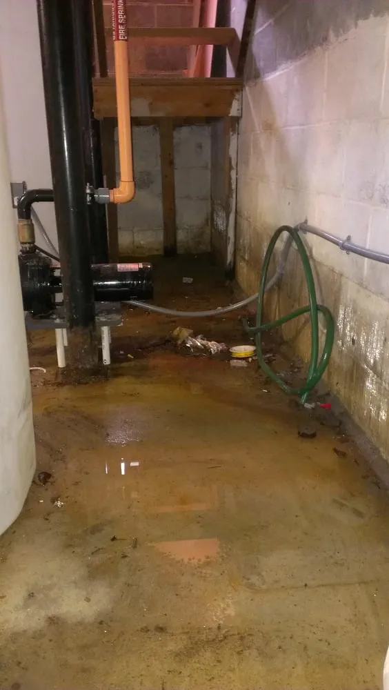 Slide of A Graf & Son