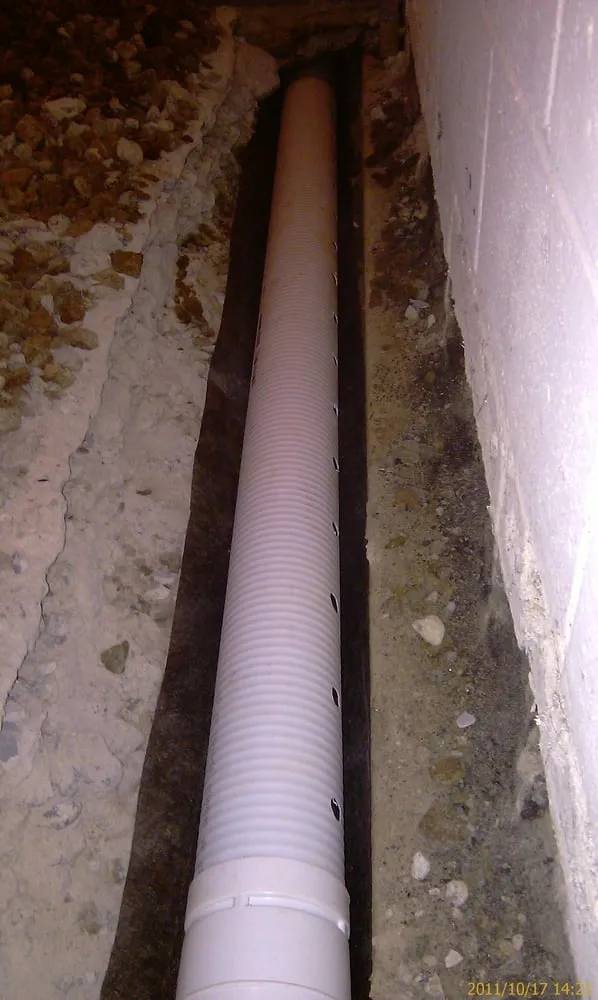 Slide of A Graf & Son