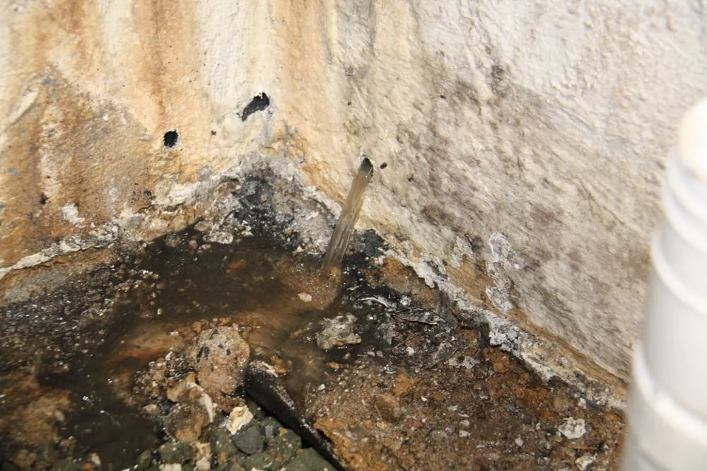 Slide of A Graf & Son