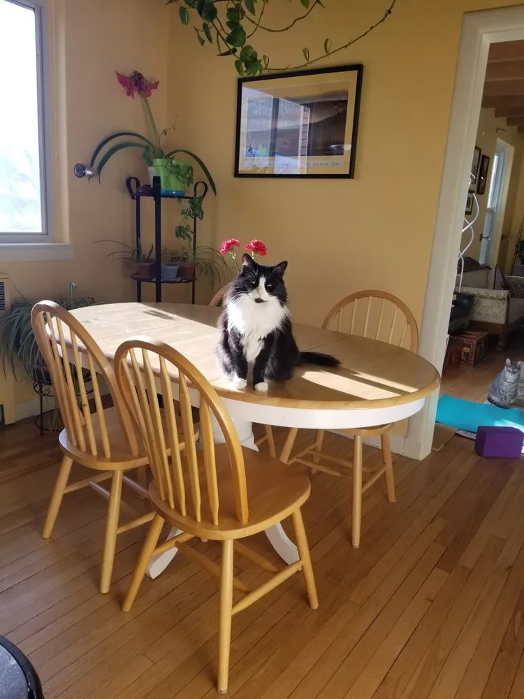 Slide of A Handy Woman