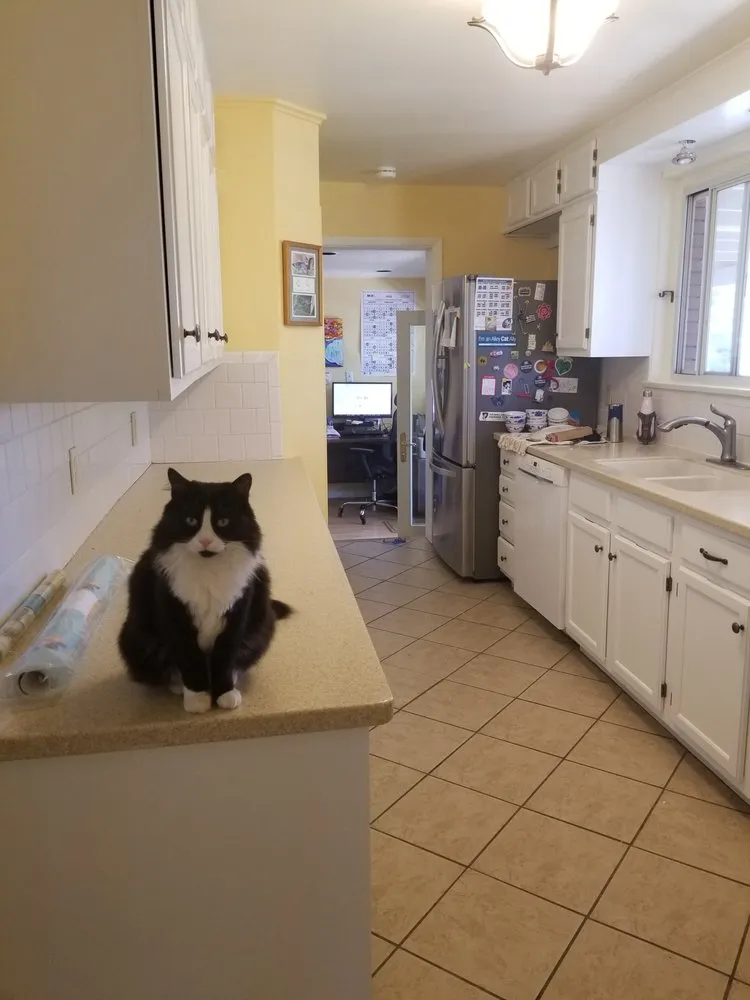 Slide of A Handy Woman