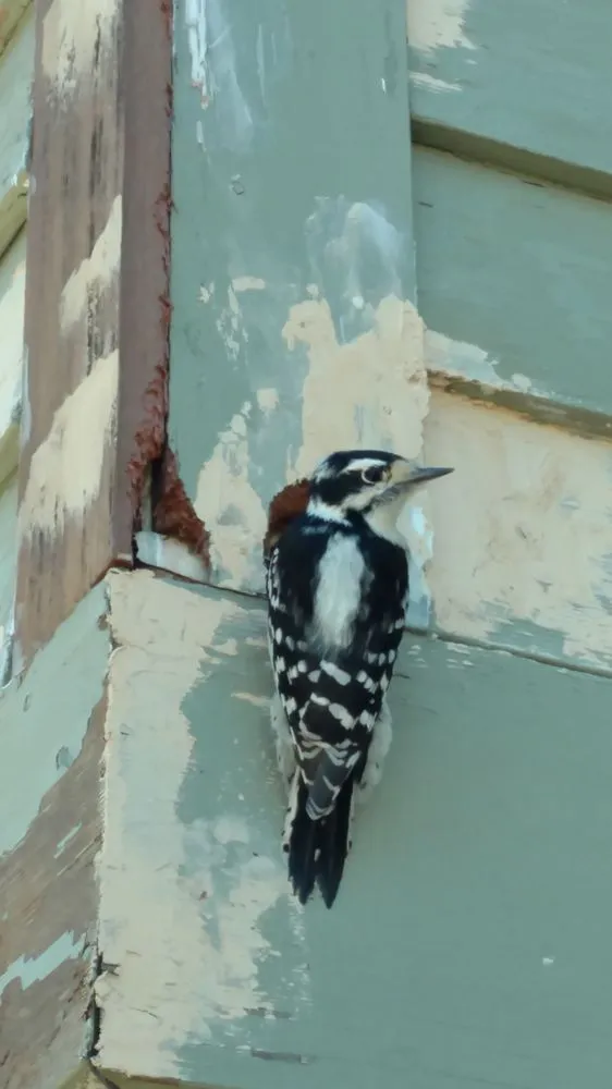 Expert plumbing repair in Killingworth, CT by A Home and Garden Handyman