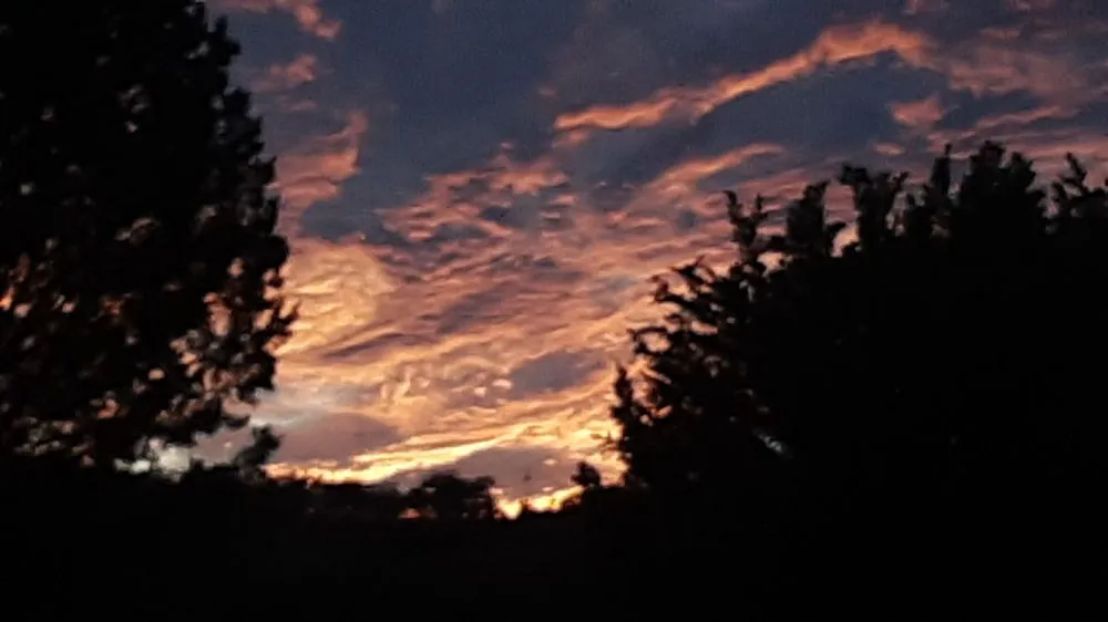 Slide of A Model Plumbing