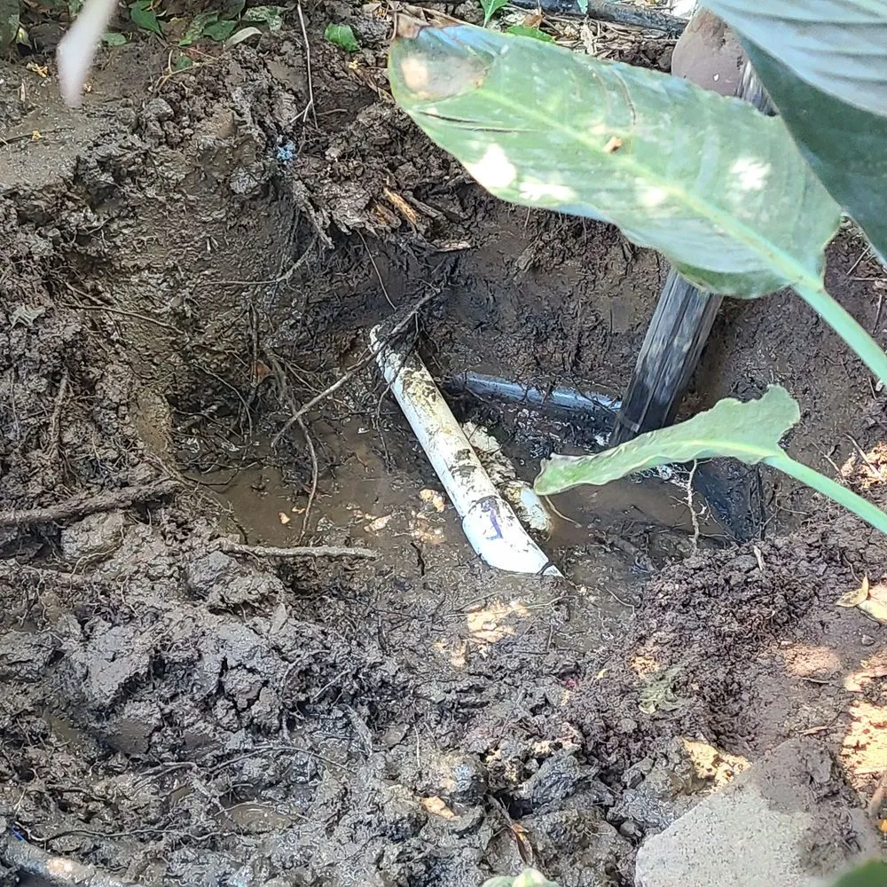 Quality plumbing repair for homes in Yubacity, CA by A Pain In The Drain Plumbing & Rooter Service