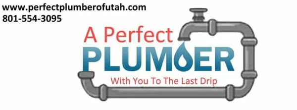 A Perfect Plumber