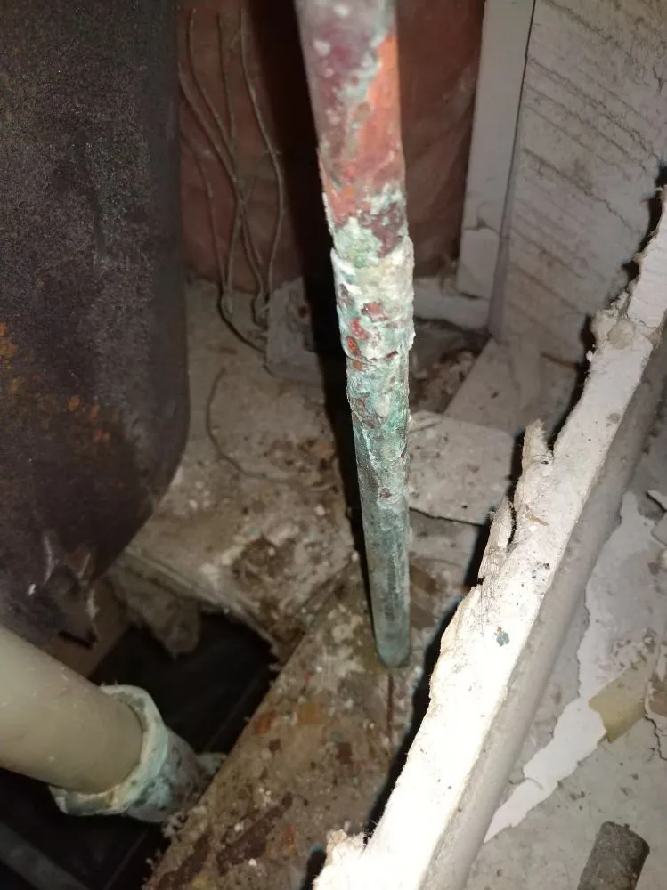 Slide of A Plumber And His Wife