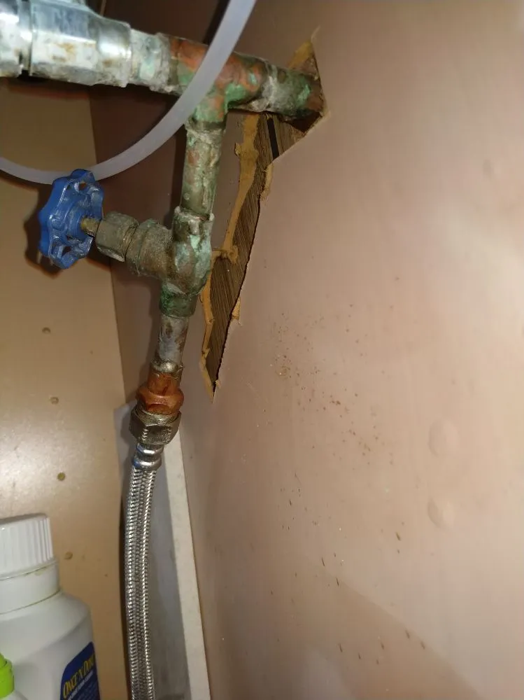 Slide of A Plumber And His Wife