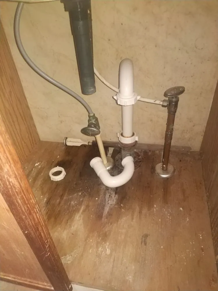 Slide of A Plumber And His Wife