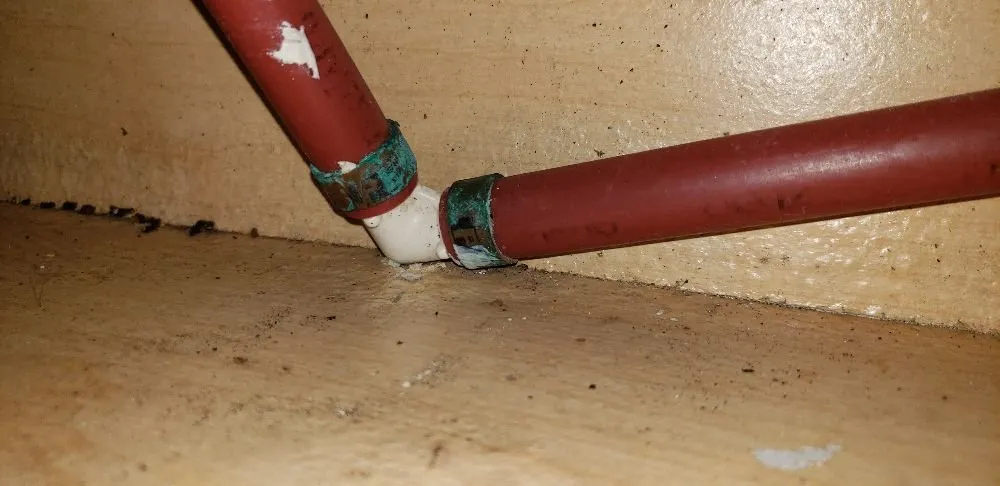 Slide of A Plumber And His Wife