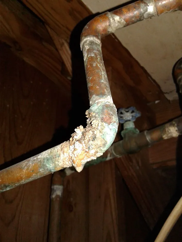 Slide of A Plumber And His Wife