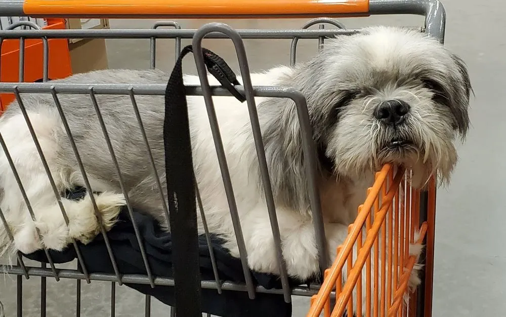 Professional leak detection for homes in Myrtle Beach, SC by A Plumber And His Wife