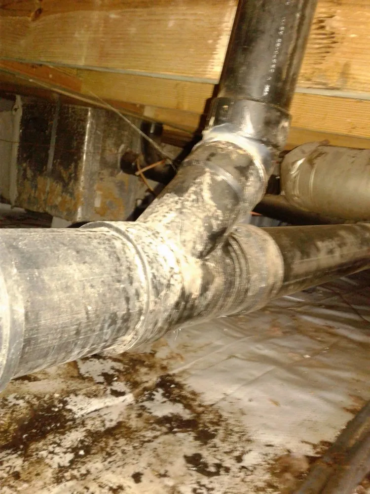 Slide of A Plumber And His Wife