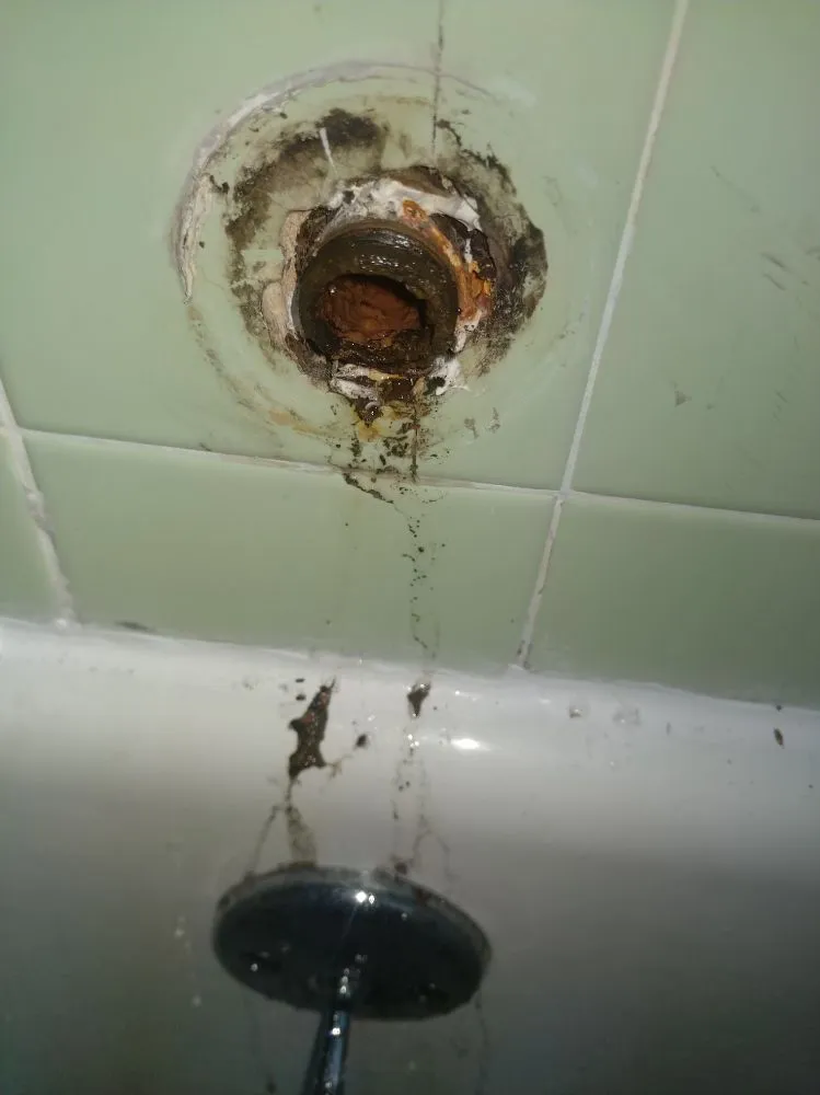 Slide of A Plumber And His Wife