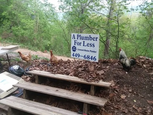 A Plumber For Less