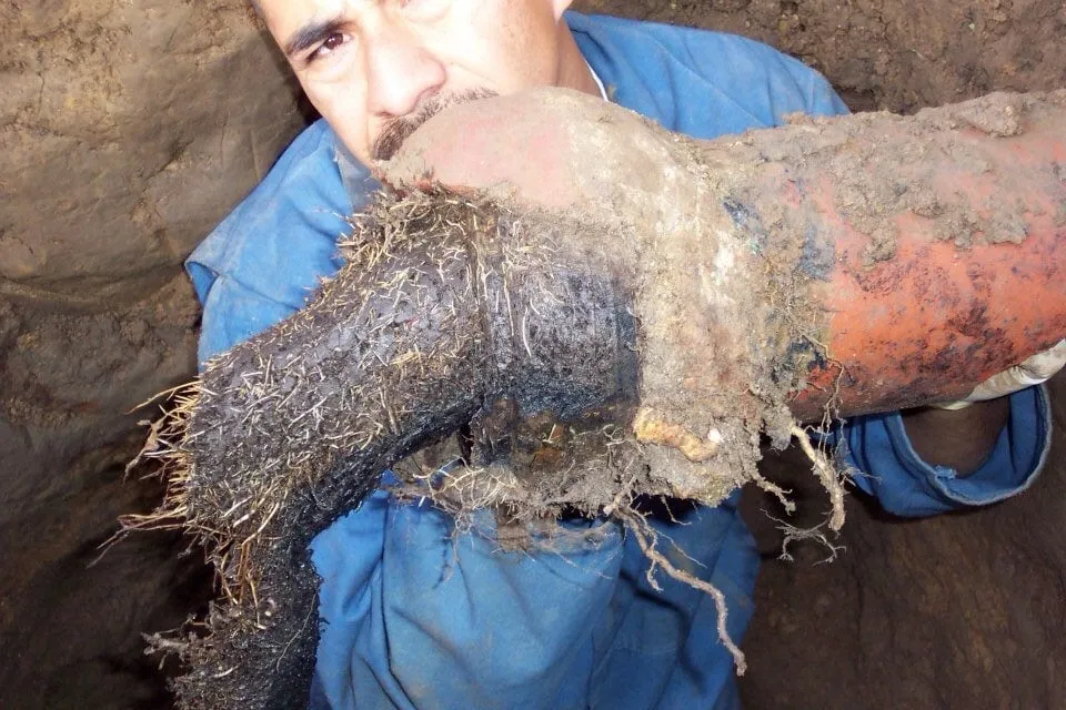 Slide of A+ Plumbing & Rootering