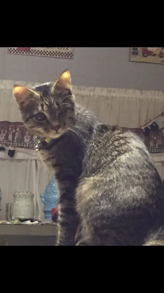 Slide of A+ Plumbing and Heating