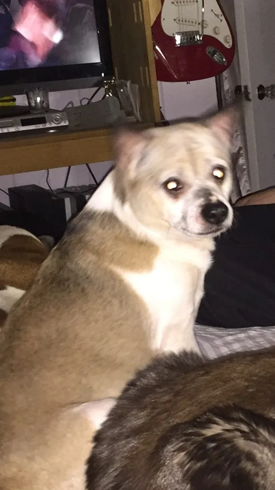 Slide of A+ Plumbing and Heating