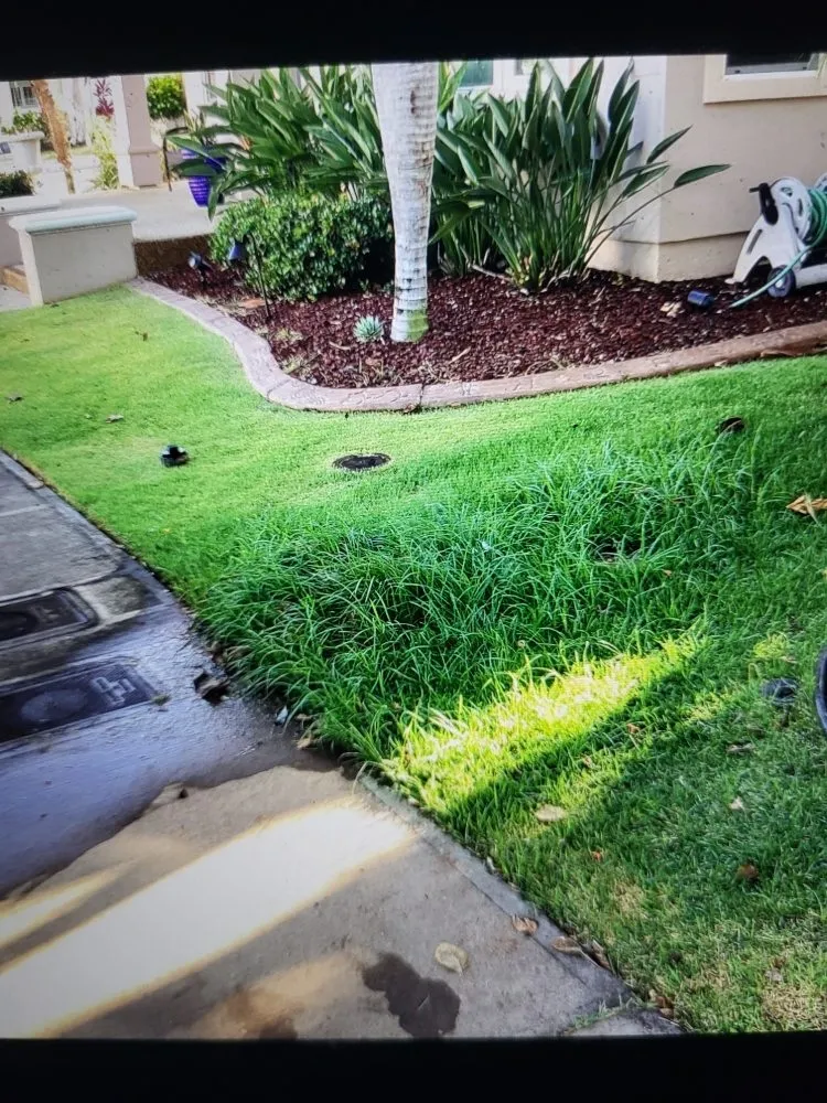 Slide of A-Plus Drain Services