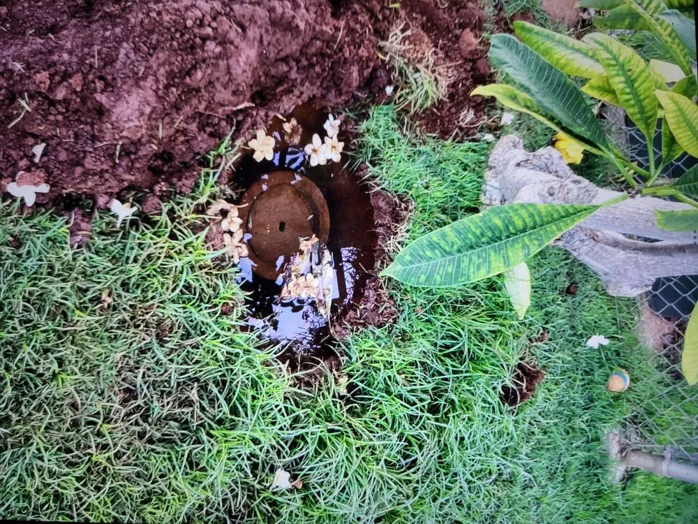 Slide of A-Plus Drain Services