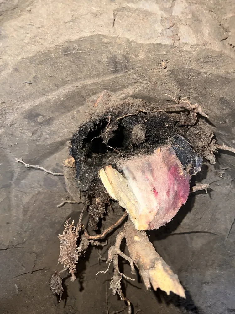 Slide of A Plus Plumbing