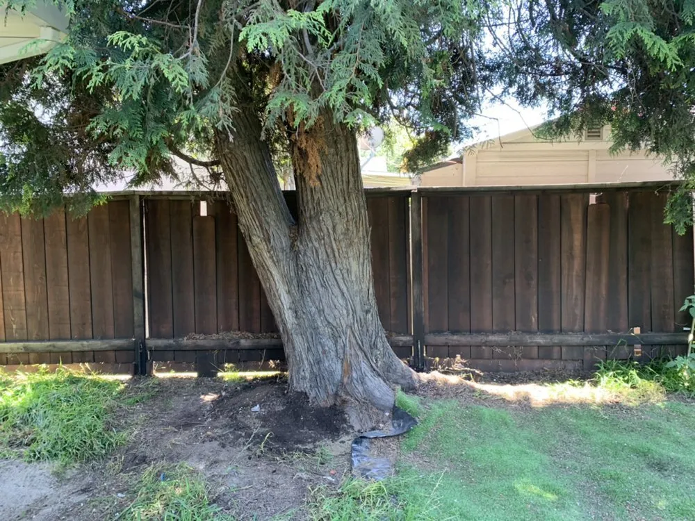 Slide of A Plus Service